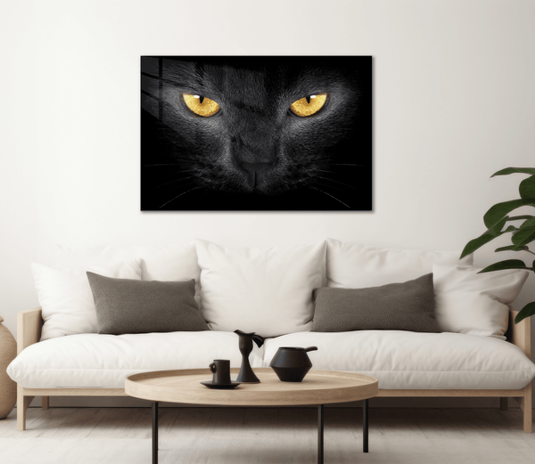 Cat Eyes