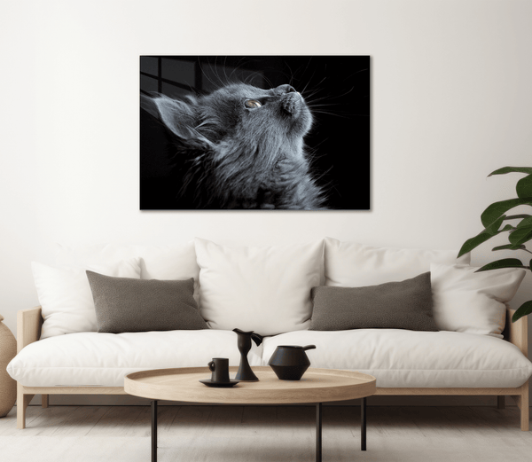 Cat Greyscale