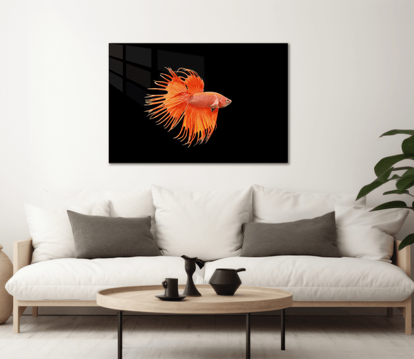 Orange Fish